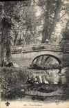 VINTAGE POSTCARD rustic Bridge Landscape of the center
