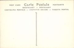 Saint Pierre de la iglesia del lado de la POSTAL de la VENDIMIA de Moissac antes del pórtico y de la puerta del pórtico occidental grande