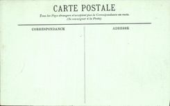 VINTAGE POSTCARD Pau the Castle and the Statue of Gaston Phebus