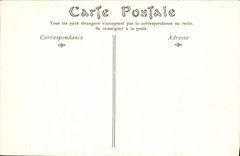 VINTAGE POSTCARD Pau Seen on the Boulevard of the Pyrenees