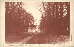 VINTAGE POSTCARD Liverdy in Brie Landscape of autumn Gone of the castle of Heap