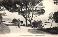 VINTAGE POSTCARD Island De Porquerolles Our small Cornice