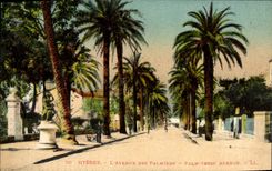CPA Hyeres L'Avenue Des Palmiers