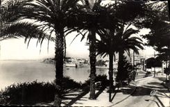 CPM Toulon Le Mourillon