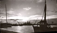 MODERN CARD Toulon the Port Twilight Boat