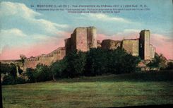 VINTAGE POSTCARD Montoire Seen Densemble Of the Castle