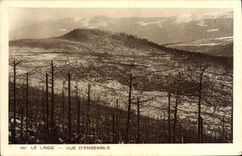 VINTAGE POSTCARD the Linen Seen Densemble