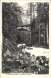 CPA Gerardmer Le Pont De Vologne