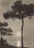 CPA Arcachon Coucher De Soleil