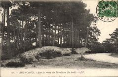 VINTAGE POSTCARD Arcachon On the Road of Moulleau the drill
