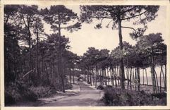 VINTAGE POSTCARD Moulleau Road of the Cornice