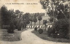 VINTAGE POSTCARD Montpellier Botanical garden