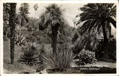 Jardín exótico graso de Parfumee de la POSTAL de la VENDIMIA