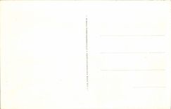 CPA Geneve Monument de Brunswick