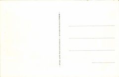 VINTAGE POSTCARD Geneva Quay of Mont Blanc Walks the Landing stage Boat