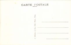 VINTAGE POSTCARD Nice seen between the Palm trees