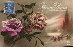 CPA Fantaisie Fleurs Bonne Annee