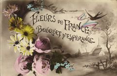 CPA Fantaisie Fleurs de France 