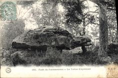 CPA Foret de Fontainebleau La Tortue d'Apremont