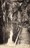 CPA La Savoie Les Gorges du Fier Les beaux hetres des gorges