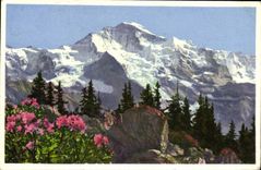 MODERN CARD Jungfrau