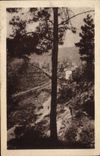 VINTAGE POSTCARD Trescol Large picturesque Combe Escaped on Trescol through the pines