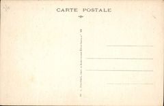 CPA Chamonix Vue Generale Et Le Mont Blanc