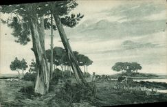 CPA La Lande Pittoresque D'apres Roger Sourgen Soleil couchant dans la Lande