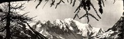 CPM Le Mont Blanc Point Culminant des Alpes