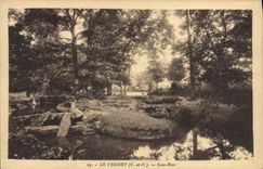 CPA Le Vesinet sous Bois