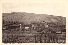 VINTAGE POSTCARD Crezancy Reigny
