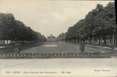 CPA Reims Allee principate des Marronniers