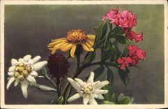 CPA Fantaisie Fleurs