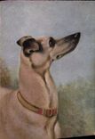 CPA Chien Levrier Chocolat Moka Leroux