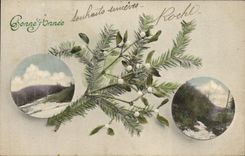 CPA Fantaisie Bonne Annee