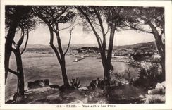 CPA Nice Vue Entre les Pins