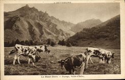 VINTAGE POSTCARD the Mount Gilds Landscape Valley Of Vaches hell