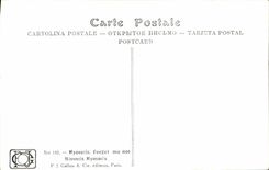 CPA Fantaisie Fleurs Myosotis Forget Me Not