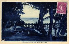 CPA Noirmoutier La Rade Du Bois de la Chaize