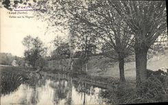 VINTAGE POSTCARD Valley Rents On Vegree