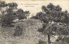 VINTAGE POSTCARD La Baule In the Dunes
