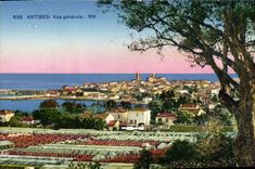 CPA Antibes Vue Generale
