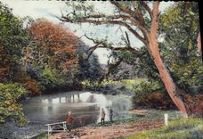 CPM Fantaisie Normandie