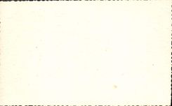 MODERN CARD Fantasy Normandy Cows