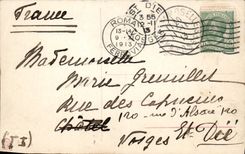 VINTAGE POSTCARD Roma Museo Vaticano Venerates Unguente