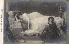 CPA Musee de Montpellier Cabanel Phedre