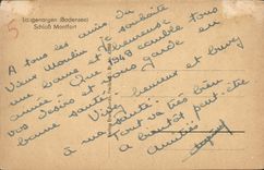 POSTAL Langenargen Schloss Montfort Bodensee de la VENDIMIA