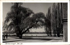 VINTAGE POSTCARD Berlin Gegel Am See