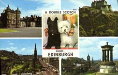 MODERN CARD Double Scotch tape From Edinburgh Chiens has