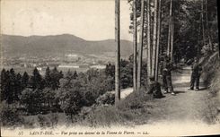 CPA Saint Die Vue Prise au dessus de la Vanne de Pierre (animee)